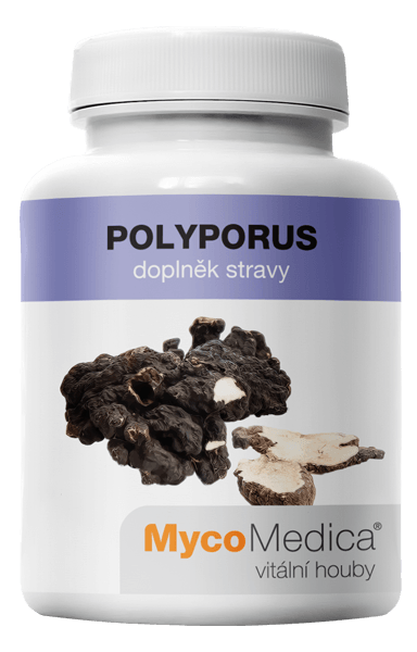 POLYPORUS  MycoMedica Objem: 1 ks